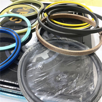 17265044 11709547 11990439 Corredo della guarnizione dell'escavatore del cilindro idraulico della benna del braccio dell'asta