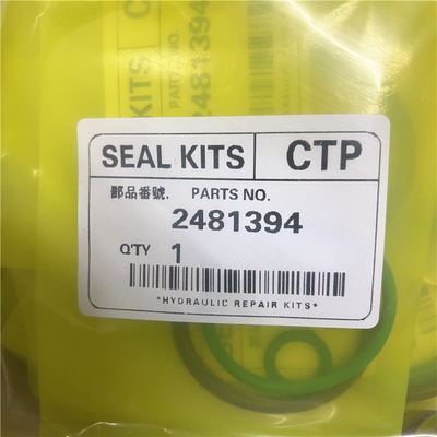 2481394 iniettore di combustibile delle parti 3406E C15 ACERT del corredo dell'iniettore O Ring Kit