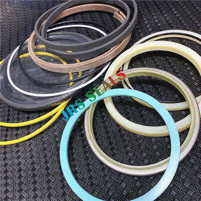 2590656 4560197 2159985 Kit di escavatori Arm cilindrico idraulico Boom Bucket Seal Kit
