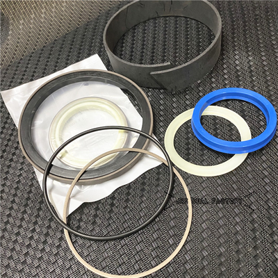 2442044 2292626 3133829 Kit di sigillazione dei cilindri idraulici per caricatori di escavatori C.A.T.